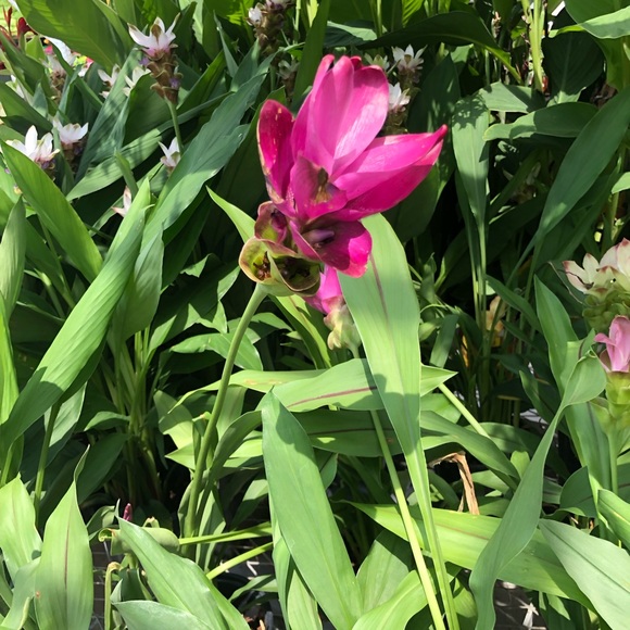 Profile Picture of Justin Leo (@jleo8792018) on Poshmark