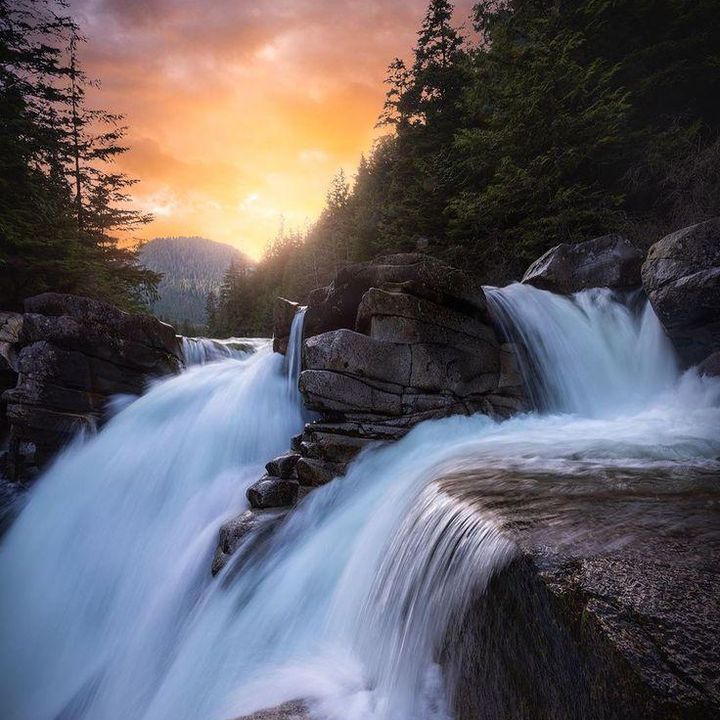 Profile Picture of Joel Swift (@goldnerv) on Tiktok