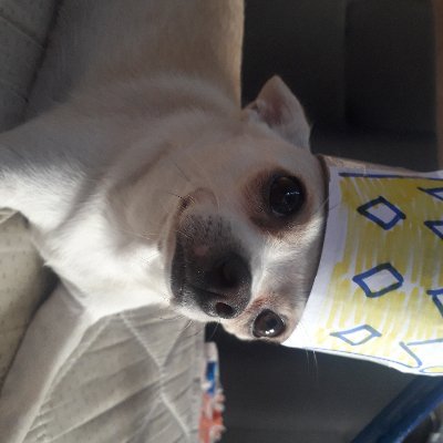 Profile Picture of Leslie Quito (@quito_leslie) on Twitter