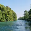Profile Picture of sandra_holzer (@sandra_holzer) on Tiktok