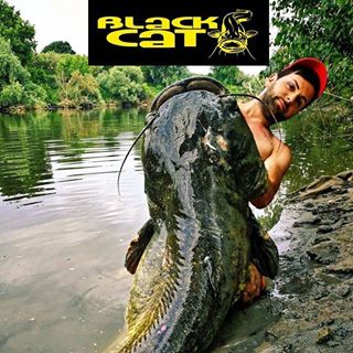 Profile Picture of Thomas Giannerini (@thomas.giannerini.3) on Facebook