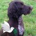 Profile Picture of Martin Gant (@Martin-Gant) on Facebook