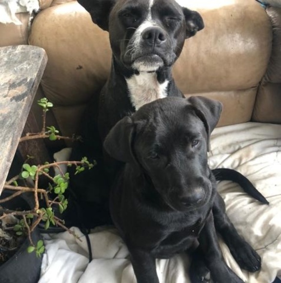 Tyleah Dufficy - Poshmark Profile Picture of Tyleah Dufficy (@tyleahdufficy) on Poshmark