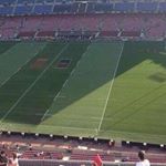 Profile Picture of Alexandra Lafont (@alexandra.lafont) on Instagram