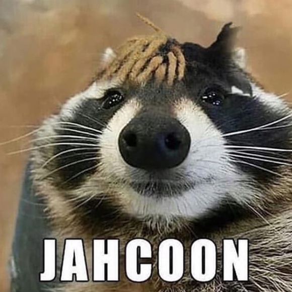 Profile Picture of Dan Manning (@dan_manning) on Poshmark