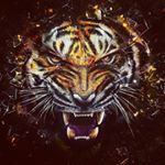 Profile Picture of peter (@peter_a.morrone) on Instagram