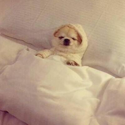 Profile Picture of Daniel Deleon (@danieldeleon562) on Twitter