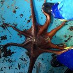 Profile Picture of Jason Armstead (@jasonhoffman17886) on Instagram