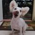 Profile Picture of Trisha Tresie (@Trisha-Tresie) on Facebook