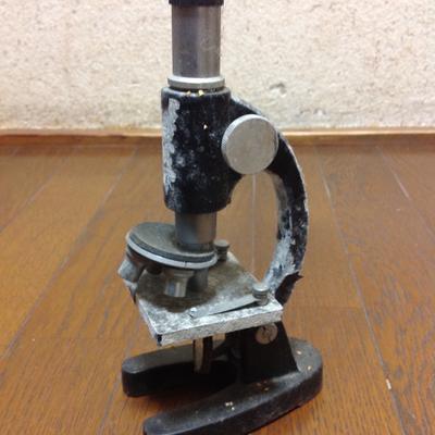 Profile Picture of Thomas N. Sato (@island1005tns) on Twitter