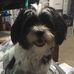 Profile Picture of Gianna Tobias (@gianna.tobias.3) on Facebook