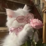 Profile Picture of Stella Ha (@ghymt.frh.819184) on Facebook