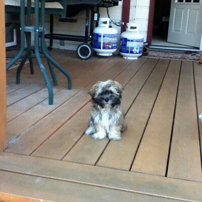 Profile Picture of Roy Fowler (@fowler_roy) on Twitter