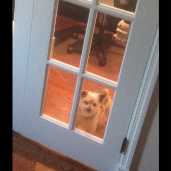 Profile Picture of Rosa anna Rusoff (@rrusoff) on Poshmark