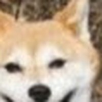 Profile Picture of Ellen Hoff (@ellen-hoff) on Quora