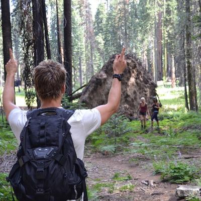 Profile Picture of Ryan Kwanten (@@DRE3K) on Twitter