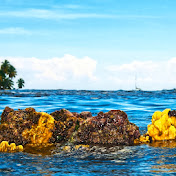 Profile Picture of Martin Vavra (@martinvavra4155) on Youtube