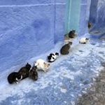 Profile Picture of Paula Tsai (@paula_england) on Instagram