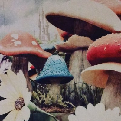 Profile Picture of Terry Tobin (@Idontgiveuhfuuk) on Twitter