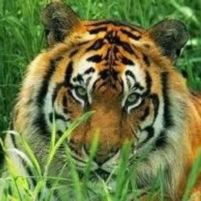 Profile Picture of edward alvaro reyes (@e2979) on Twitter