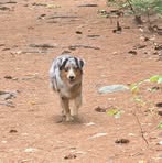 Profile Picture of Gary Manock (@gary.manock) on Facebook