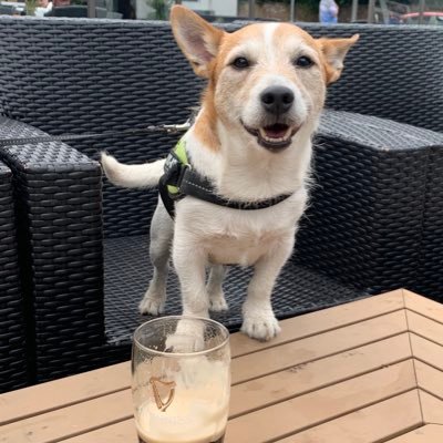 Profile Picture of Jon Askey (@jonaskey88) on Twitter