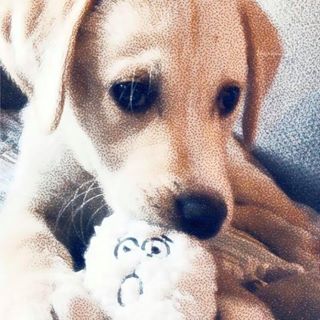 Profile Picture of Tami Rivers (@tami.rivers.3) on Facebook