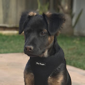 Profile Picture of Christopher Portillo (@chrispcream.) on Youtube