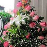 Profile Picture of Jeannine Joseph (@josephjeannine) on Instagram