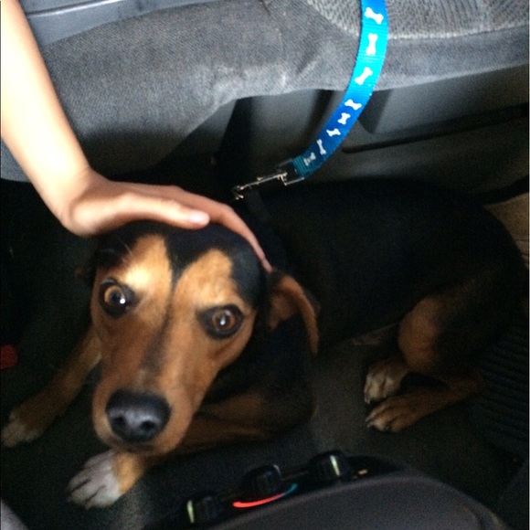 Profile Picture of Guillermo Pimentel (@hulk81) on Poshmark