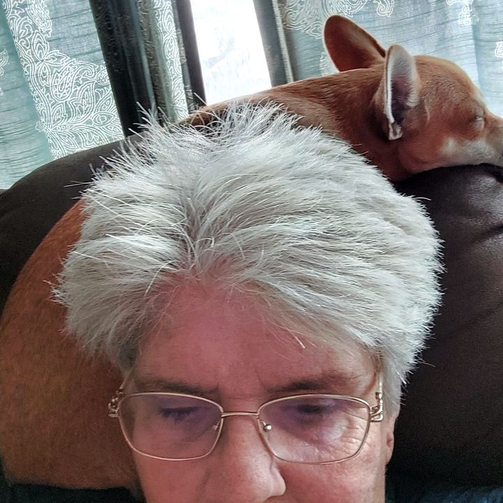 Profile Picture of Glenda Bates (@giggles_1957) on Tiktok