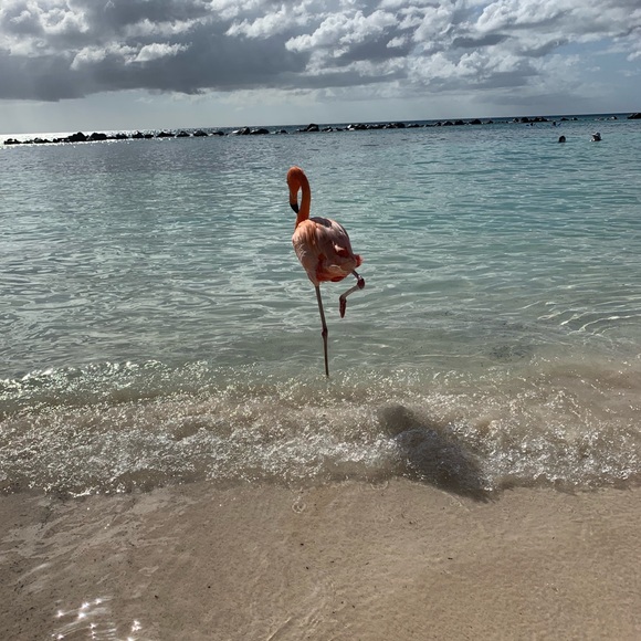 Profile Picture of Jesse Gist (@jessegist) on Poshmark