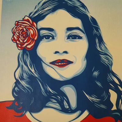 Profile Picture of Debbie Gaston (@debbileeg) on Twitter