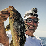 Profile Picture of Steve Frazier (@shuttersteve) on Flickr