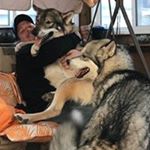 Profile Picture of Jason Lynch (@jason__lynch) on Instagram