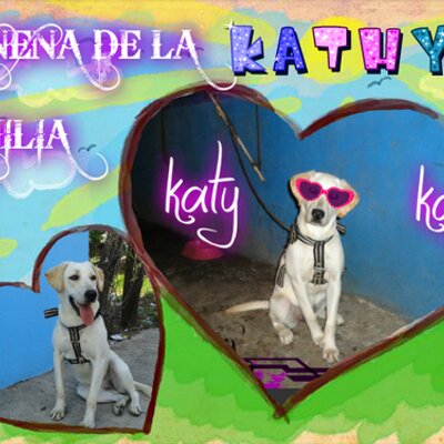 Merry Stewart Styles - Twitter Profile Picture of Merry Stewart Styles (@StewartMerry) on Twitter