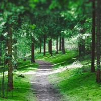 Profile Picture of Rajesh Bishnoi (@rajesh-bishnoi-3) on Quora