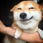 Jeremy Vasquez - Instagram Profile Picture of Jeremy Vasquez (@beaner_babey) on Instagram