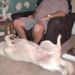 Profile Picture of David Garside (@davidgarside18) on Pinterest