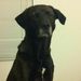 Profile Picture of Adam Matza (@adammatza) on Pinterest