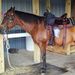 Profile Picture of Debbie Hulsey (@debbiehulsey58) on Pinterest