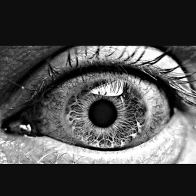 Profile Picture of Alisa L Chagnon (@AlisaChagnon) on Twitter