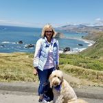Profile Picture of Cindy Hollingshead (@cindyhollingshead) on Instagram