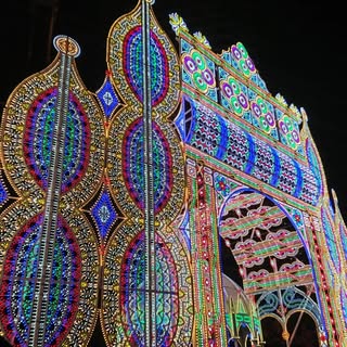 Profile Picture of ひろみ (@hiromi_bird) on Instagram