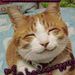 Profile Picture of David Andersen (@andersendavid66) on Pinterest