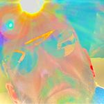 Profile Picture of Peter Osborn (@peterosborn_denver_palmsprings) on Instagram