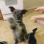 Profile Picture of John Clapper (@frenchdevil) on Instagram