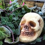 Profile Picture of Johna Speroni (@johnasperoni) on Instagram