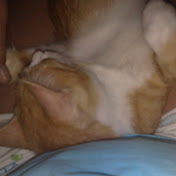 Mary Loukaki - Youtube Profile Picture of Mary Loukaki (@mloukaki74) on Youtube