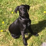 Profile Picture of Markus Würgler (@maerkel81) on Instagram